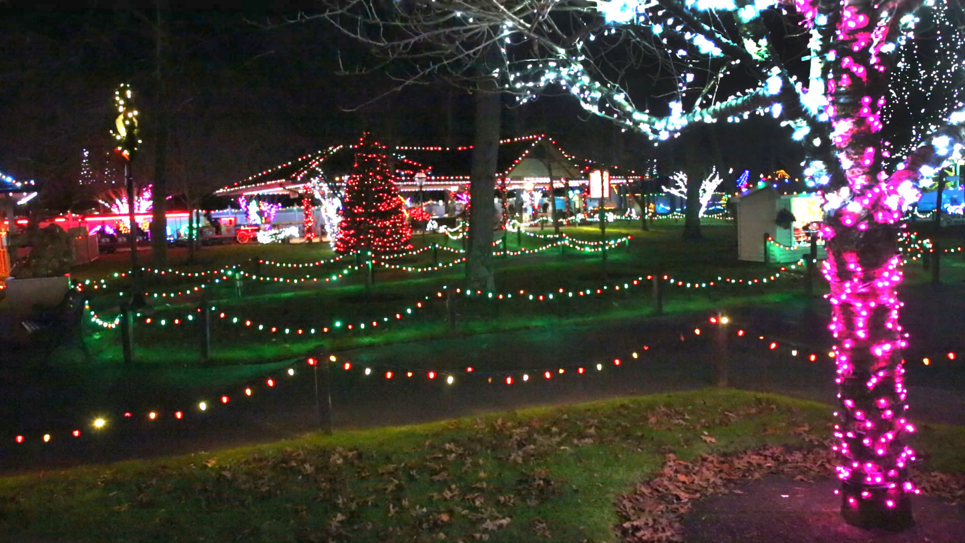 Storybook Land Christmas Fantasy Lights